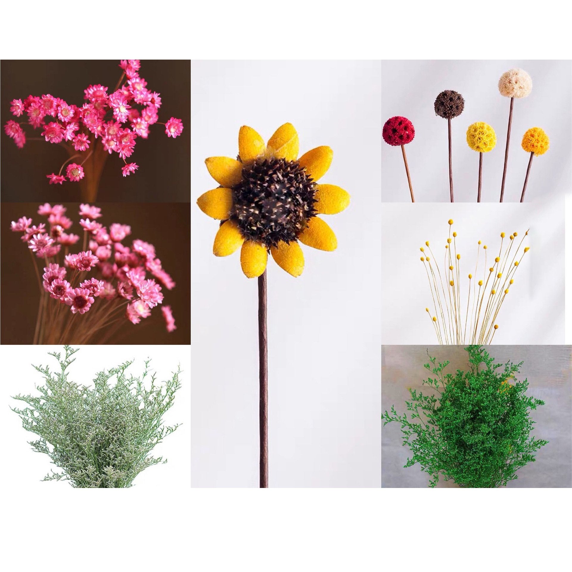 🎁HOT SALE- 49% OFF🔥 Mini Ceramics Vase Fridge Magnet