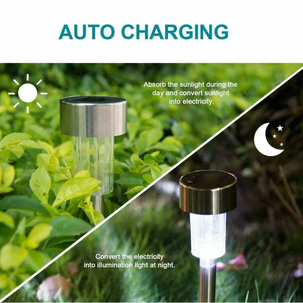 Stainless Steel Solar Pathway LED Outdoor Lights (12 Pack)